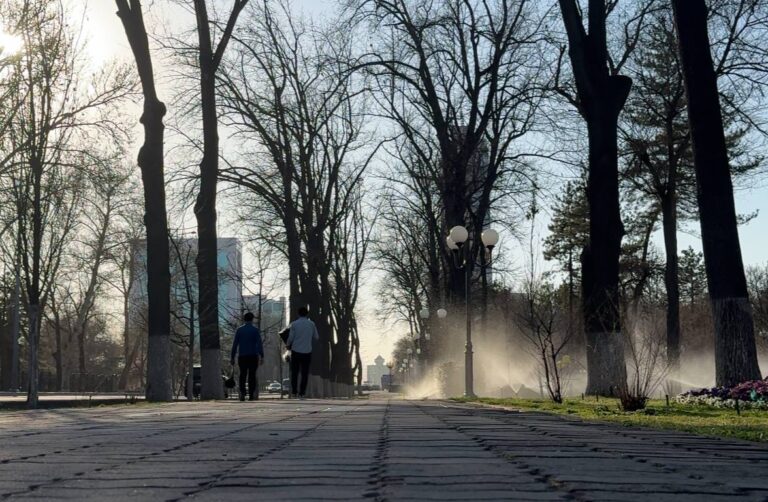 До +27° и без осадков: какая погода ждет Ташкент 25 марта