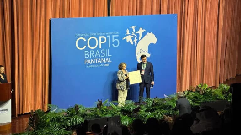 O‘zbekiston ko‘chib yuruvchi turlarni muhofaza qilishda e’tirof etildi