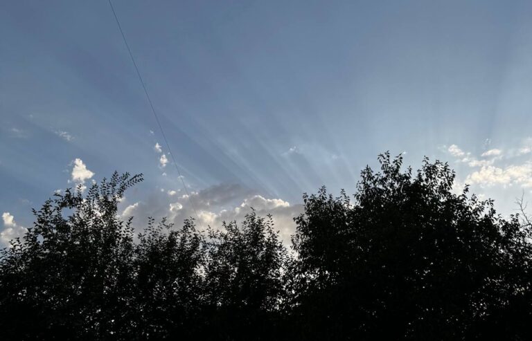 Сухо и до +27°: погода в Ташкенте 26 марта