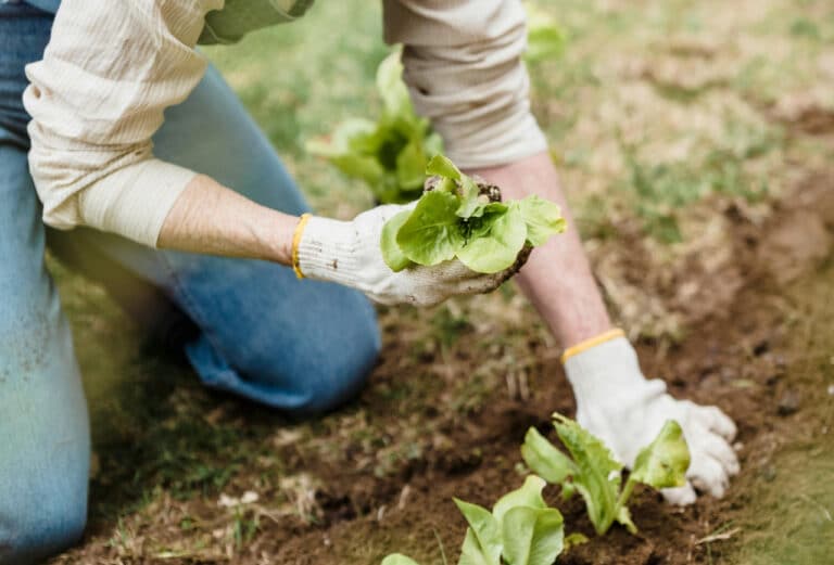 O‘zbekistonliklar uchun Italiyada mavsumiy ish o‘rinlari ochiladi