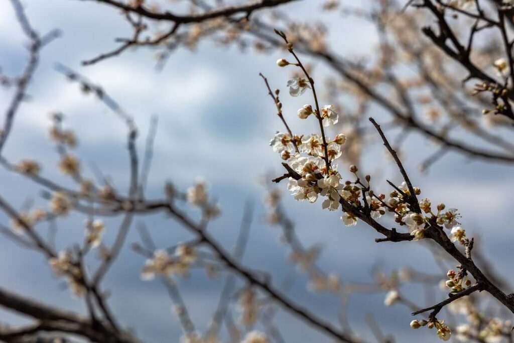 Прогноз погоды