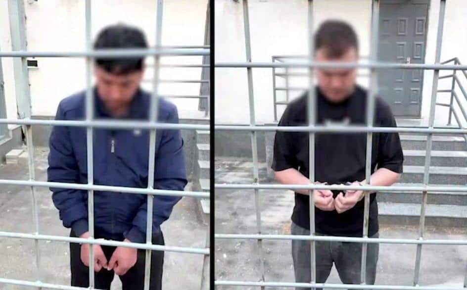 Bo‘stonliqdagi mehmonxonada mushuklarga zo‘ravonlik qilgan xodimlar qamaldi