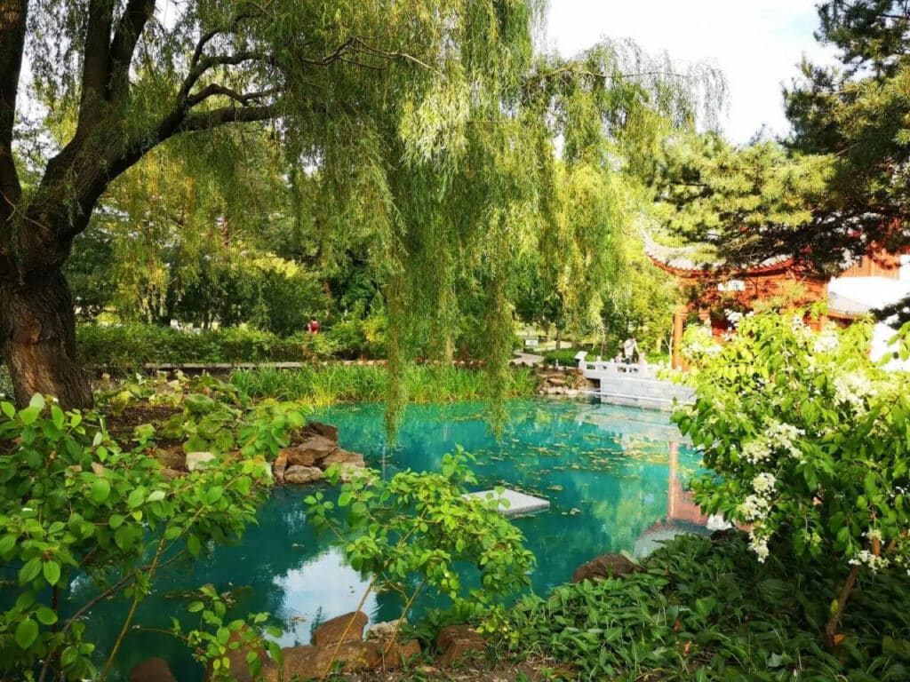 Ботанический сад