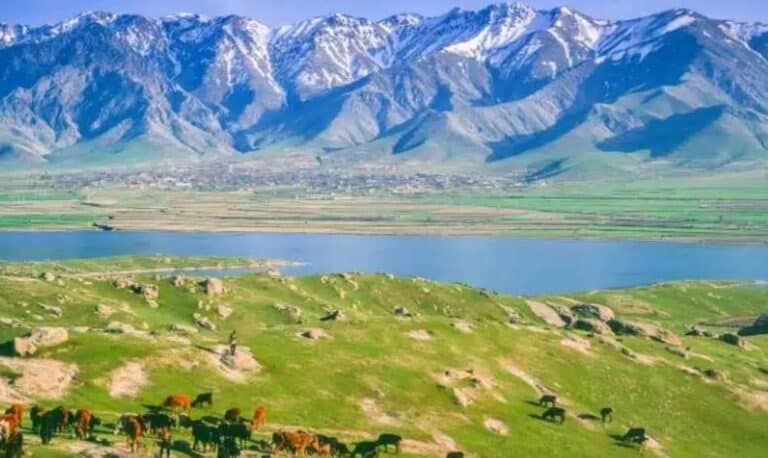 IFAD, EU and Hamkorbank Launch Programme to Turn Remittances into Rural Business Opportunities in Uzbekistan