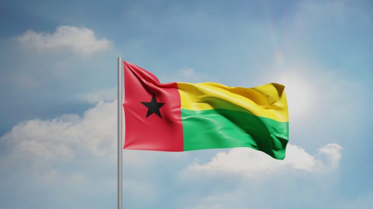 Узбекистан установил дипотношения с Гвинеей-Бисау