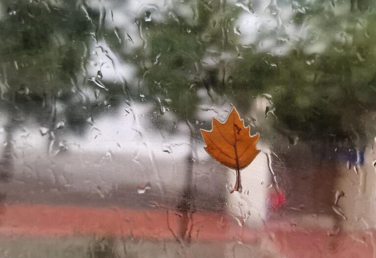 Пока в Казахстане зима, Узбекистан накроют дожди и грозы