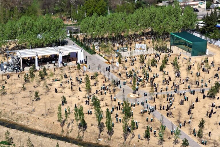 Академия наук опровергла передачу земли застройщикам