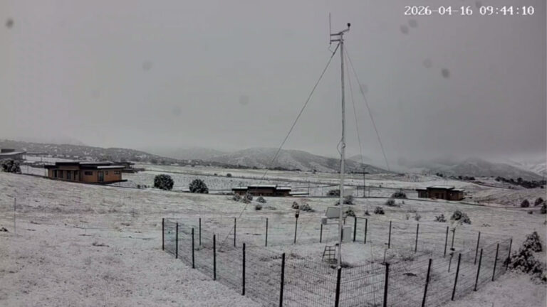 В Узбекистане выпал снег — видео