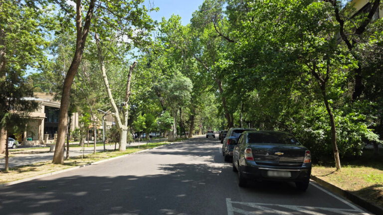 Погода в Ташкенте 28 апреля: до +29° днем и без осадков