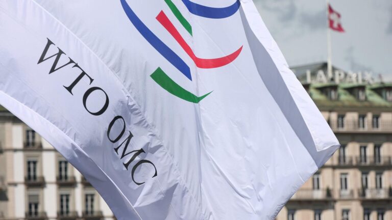 Uzbekistan Eyes WTO Membership This Year Following Sweeping Trade Reforms