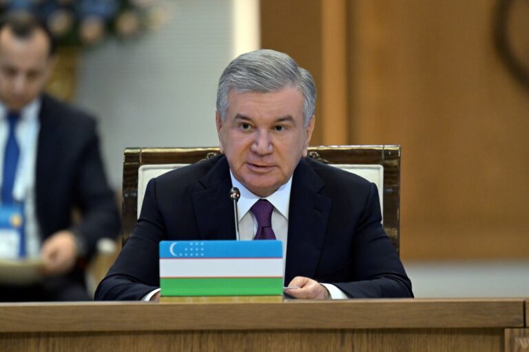 Единое цифровое пространство и умные коридоры — что Узбекистан предлагает ЕАЭС?