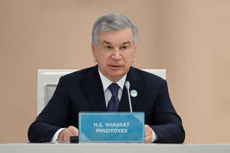 Мирзиёев предложил создать «Цифровой тюркский коридор» и альянс по кибербезопасности