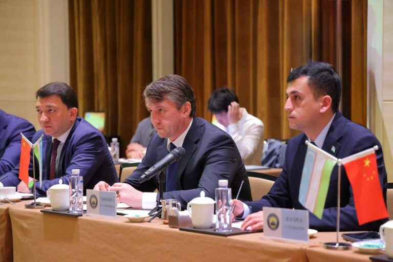 Toshkentda 100 kmga yaqin yangi pulli avtomobil yo‘llari qurilishi mumkin