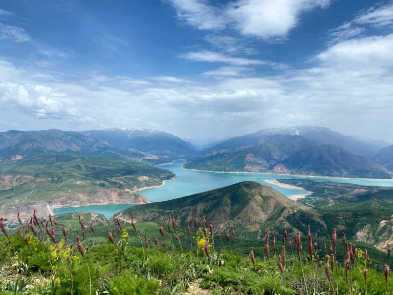 UN Hails Uzbekistan’s Green Development but Warns of Ongoing Pollution Risks