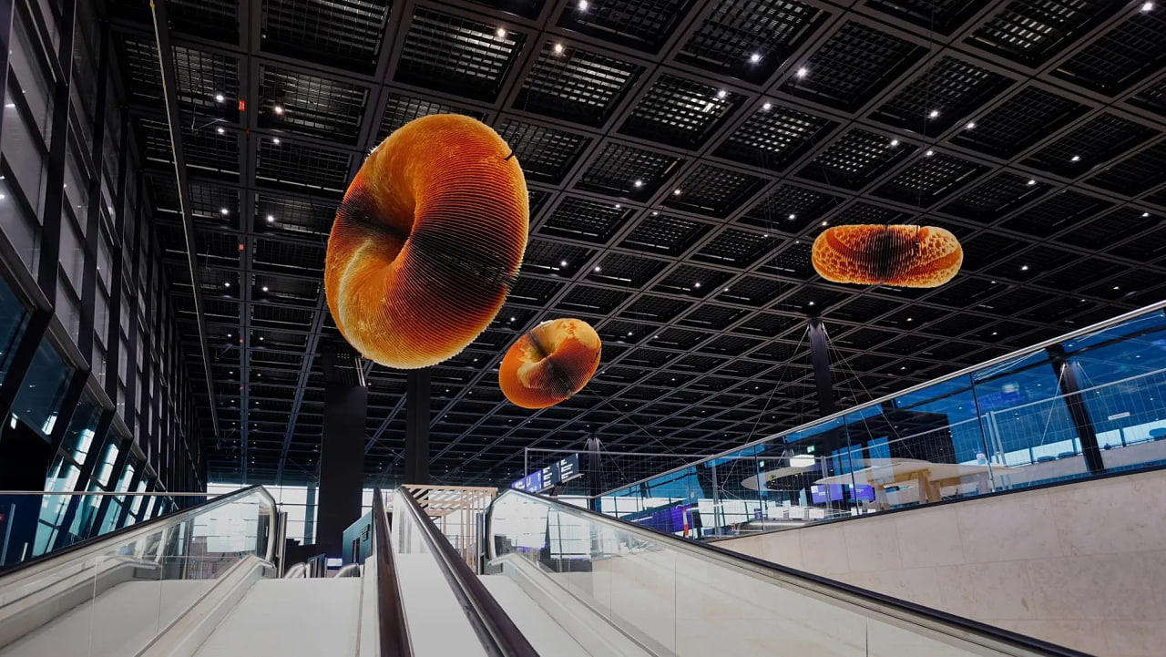 Frankfurt aeroporti Yevropaning eng chiroyli aeroporti deb topildi