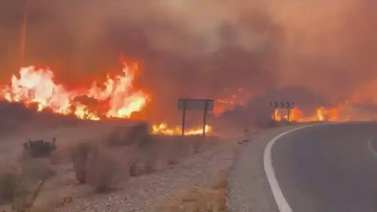 Twelve Dead as Catastrophic Wildfire Sweeps Through Southern Spain