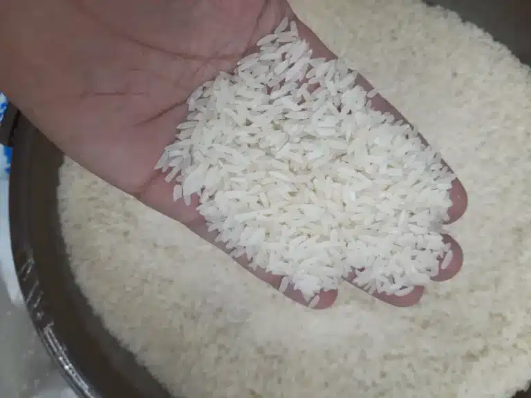 Хорезмский рис признали брендом и защитили законом