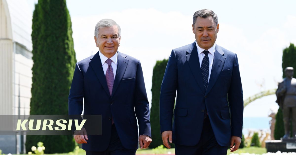 uz.kursiv.media