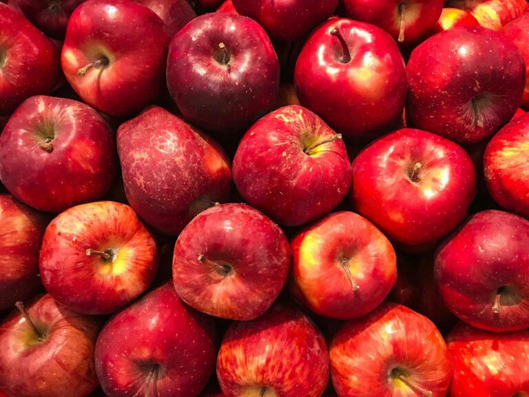 First Yan’an Apples Reach Uzbekistan in Central Asian Trade Push