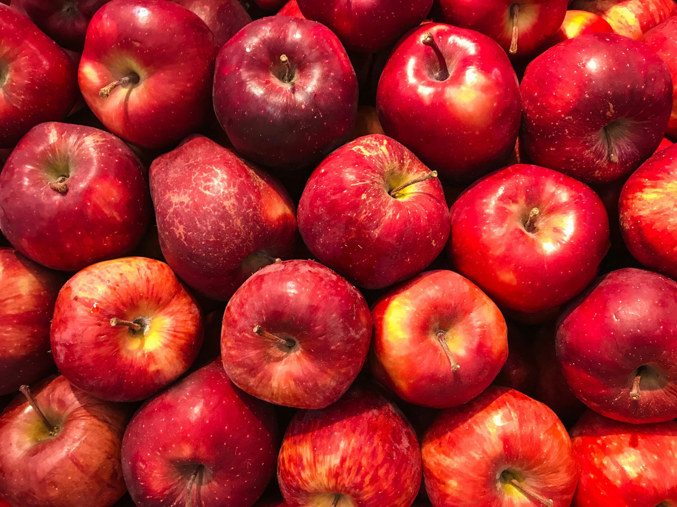 First Yan'an Apples Reach Uzbekistan in Central Asian Trade Push