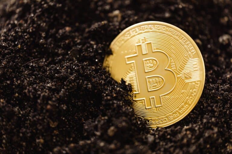В Каракалпакстане открывают дорогу майнерам — кто может стать резидентом Besqala Mining Valley