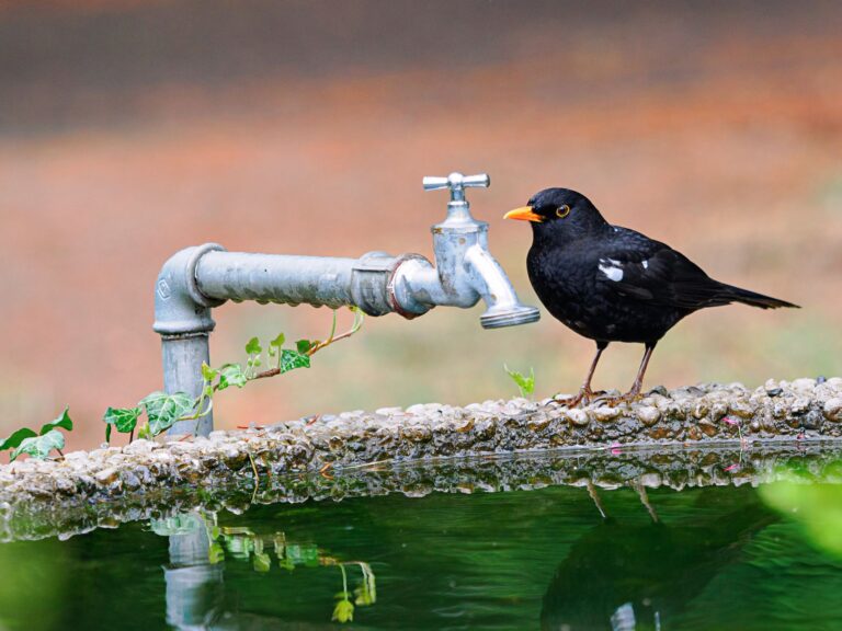 Uzbekistan Unveils $600 Mln Plan to Modernise Water Infrastructure