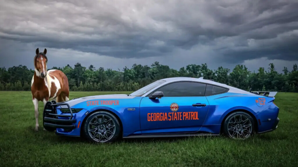 Foto: Georgia Highway Patrol