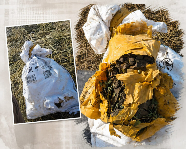 Qariyb 9 kg giyohvandlik vositasi musodara qilindi