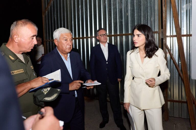 Odamlar dod deganicha bor — Saida Mirziyoyeva Toshkent shahrida amalga oshirilayotgan qurilishlar haqida