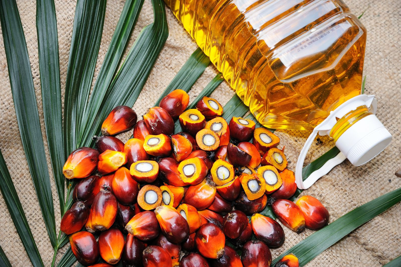Uzbek think tank proposes taxing palm oil to combat public health risks