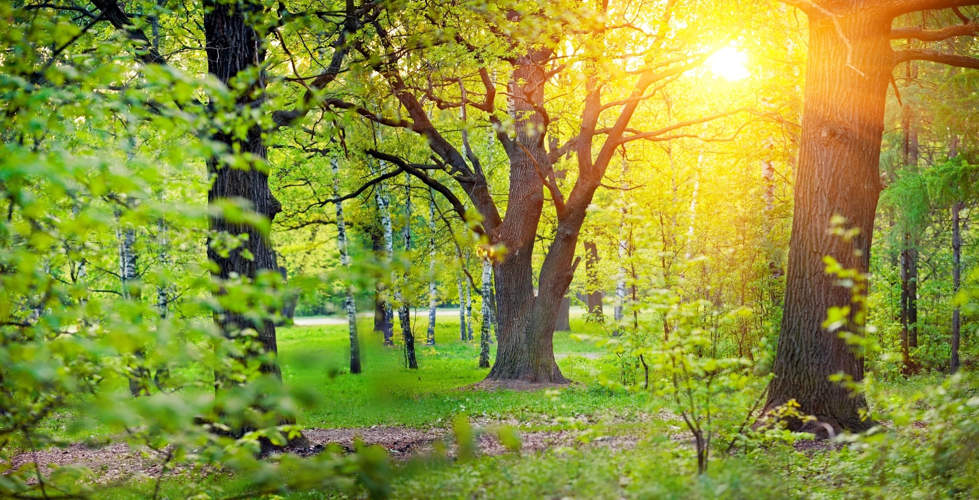 40 daraja: dam olish kunlari havo isiydi