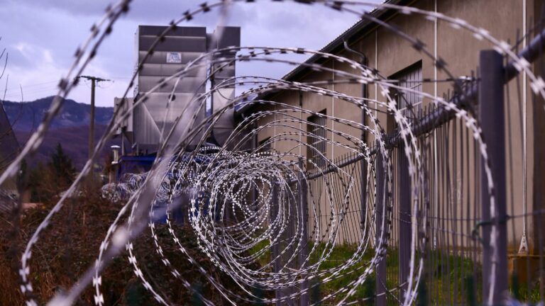 Israel halts plan to deploy crocodiles for prison security