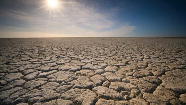 24mn Central Asians live on land that’s drying and dying