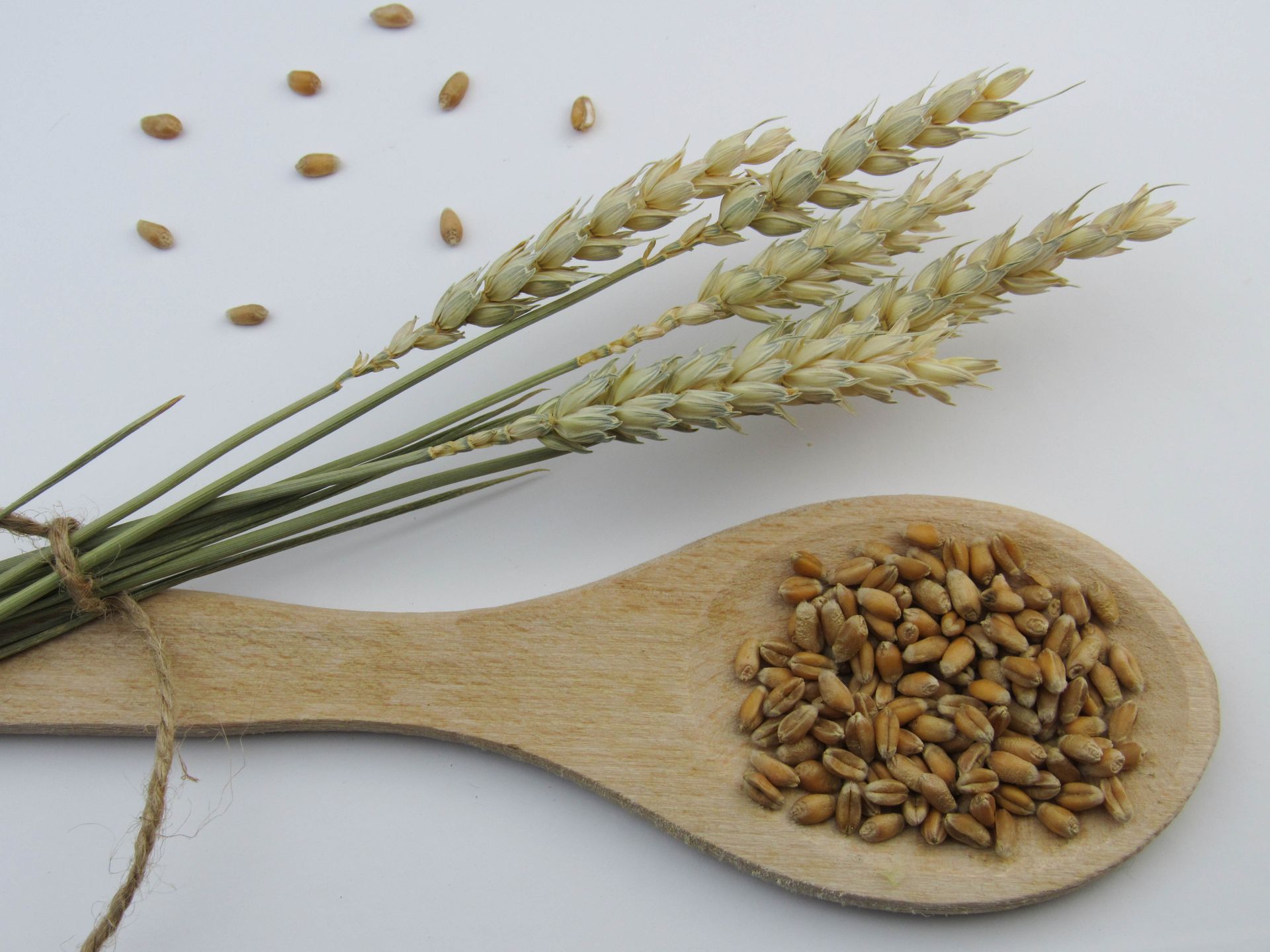 Экспорт пшеницы из Казахстана в Узбекистан вырос до 4,6 млн тонн