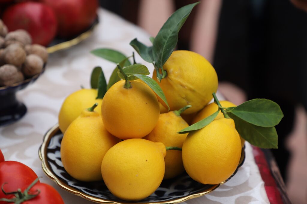 O‘zbekiston limon eksporti hajmini 2,2 barobarga oshirdi