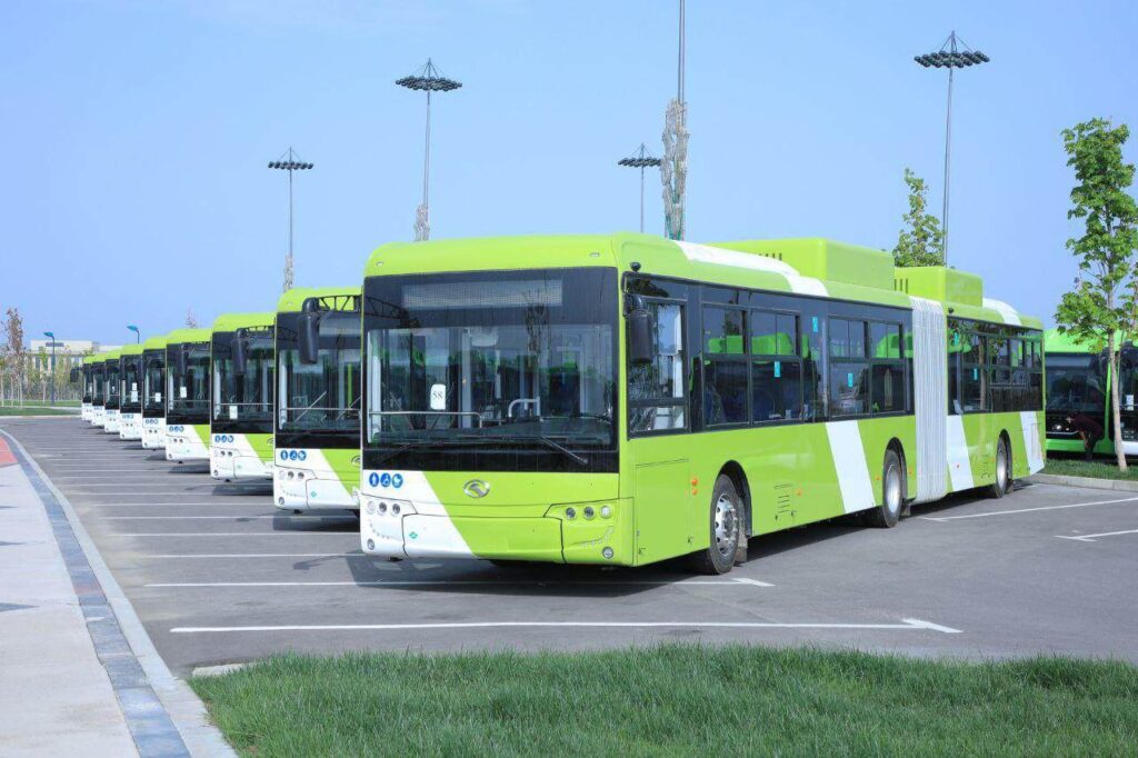 Автобусы