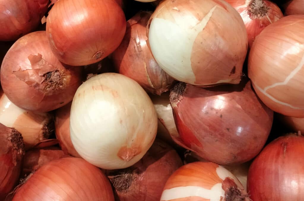 Qirg‘iziston O‘zbekistondan olib kirilgan 23 tonna piyozni qaytardi