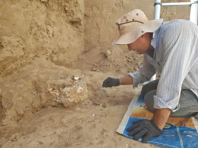 Samarqandda ilk O‘rta asrlarga oid haykalning boshi topildi
