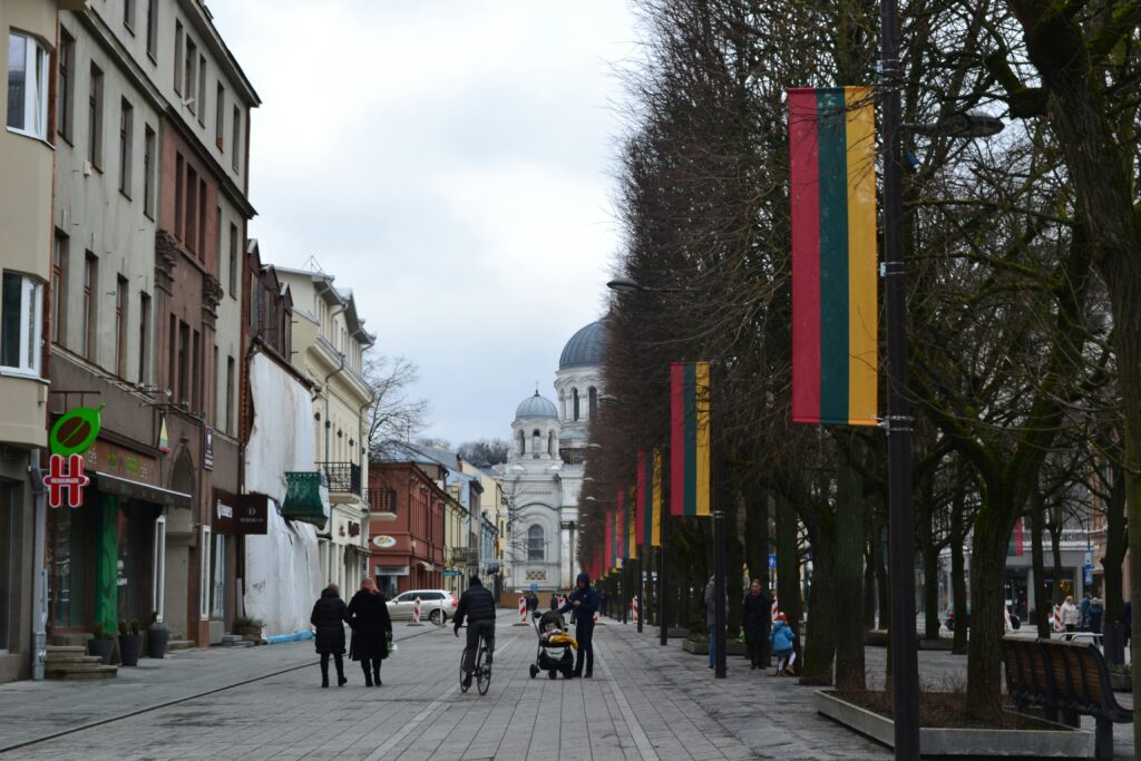 All too many: Lithuania freezes new work applications from Central Asia