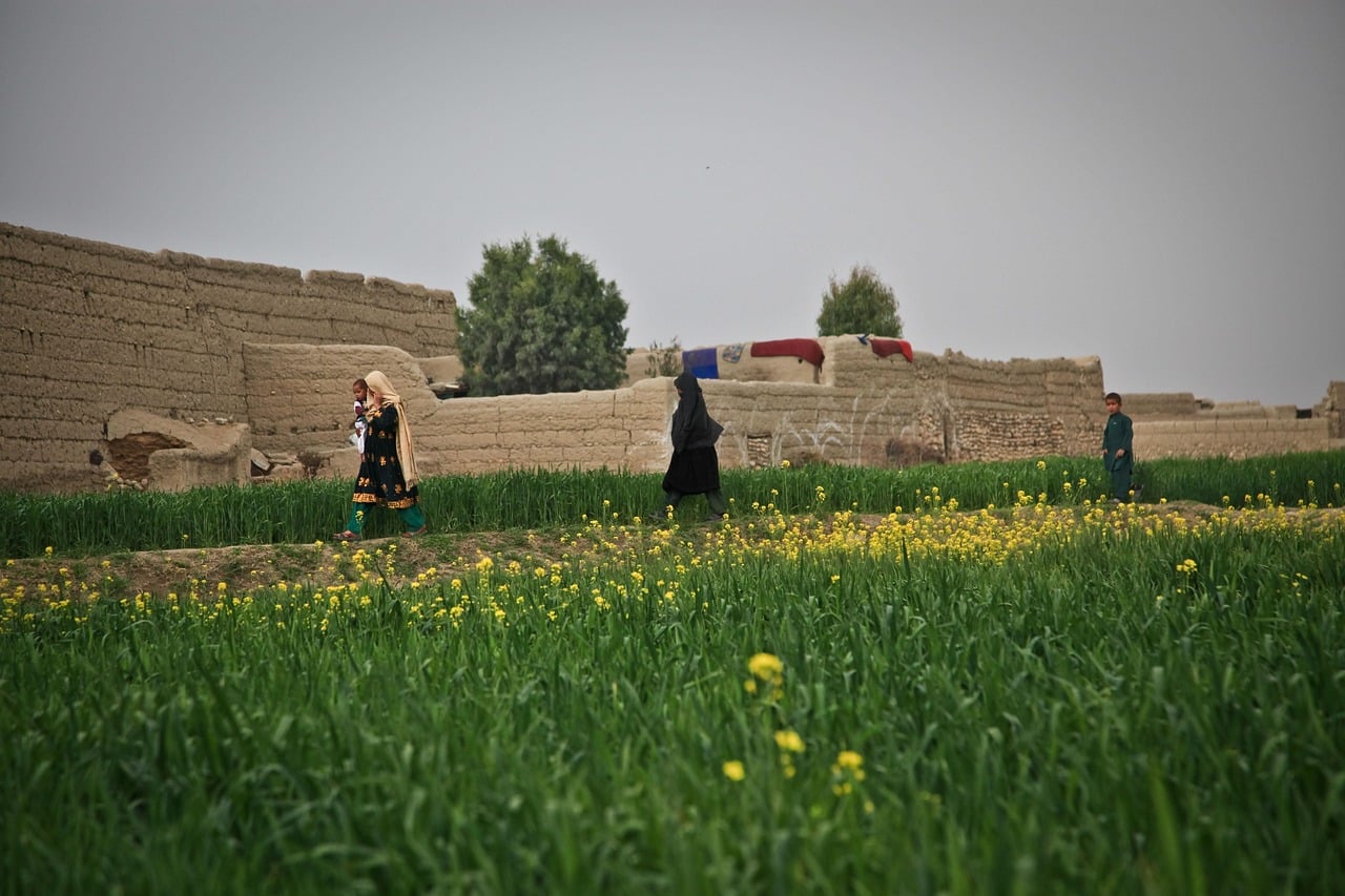 Opium production in Afghanistan jumps fivefold despite Taliban's ban