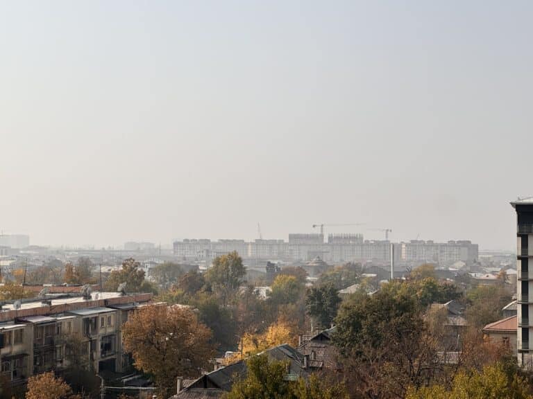До +25° и снег в горах: какой будет погода в Узбекистане 31 октября и 1 ноября