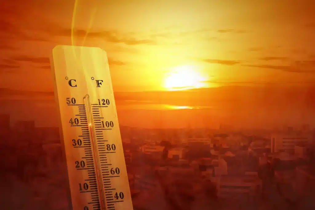 Yer yuzining 85 foizini qamragan issiqlik: olimlar yangi hodisani aniqladi