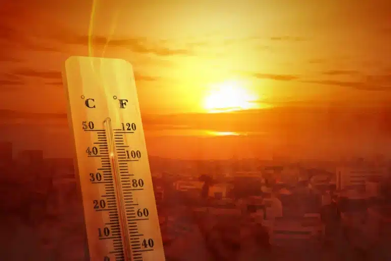 Yer yuzining 85 foizini qamragan issiqlik: olimlar yangi hodisani aniqladi