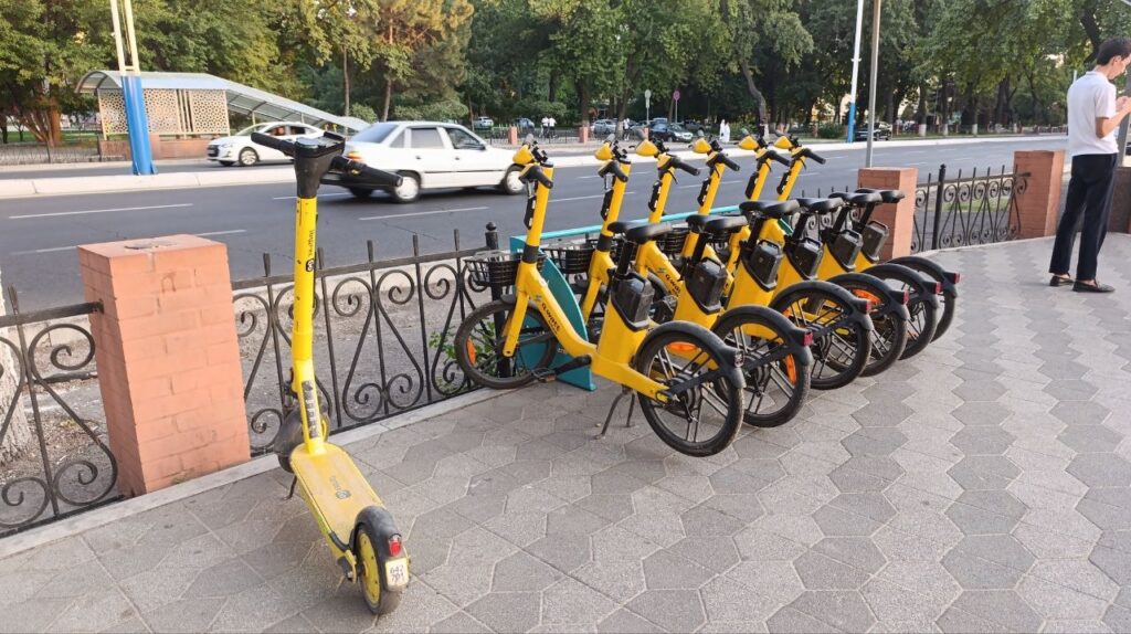 Dunyoda guvohnoma talab qilinmaydigan chegara bizda aksincha — advokat kuryerlar holati bo‘yicha
