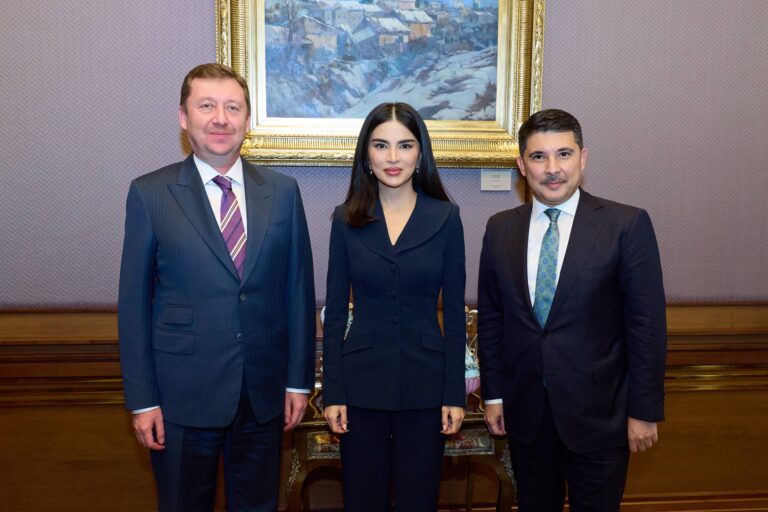 Saida Mirziyoyeva Turkiya Prezident administratsiyasi vakillari bilan uchrashdi