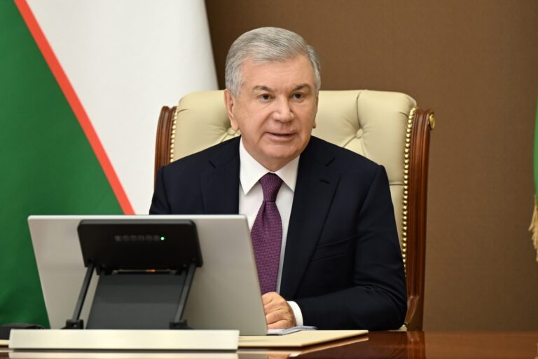 O‘zbekistonda 627 ming gektar yaylov 49 yilga bepul beriladi