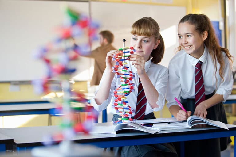 English to become tuition language for STEM classes in Uzbekistan
